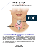 Tiroida si pisica.pdf