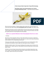 8 Cara Memanjangkan Penis Secara Alami C PDF