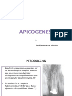 APICOGENESIS