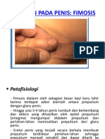 FIMOSIS ppt