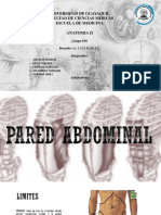 pared anterolateral12.pptx