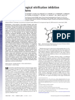 Evidence For Biological Nitrification Inhibition in Brachiaria Pastures