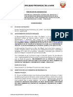 262659010-TDR-CONSULTORIA-IE-07-SAN-MIGUEL-doc.doc