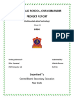 Army Public School, Chandimandir Project Report: Birds