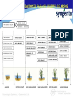 Recomendaciones Para Su Cultivo de Arroz Modificado