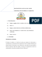 informe-au.docx