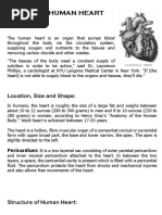 The Human Heart: Location, Size and Shape