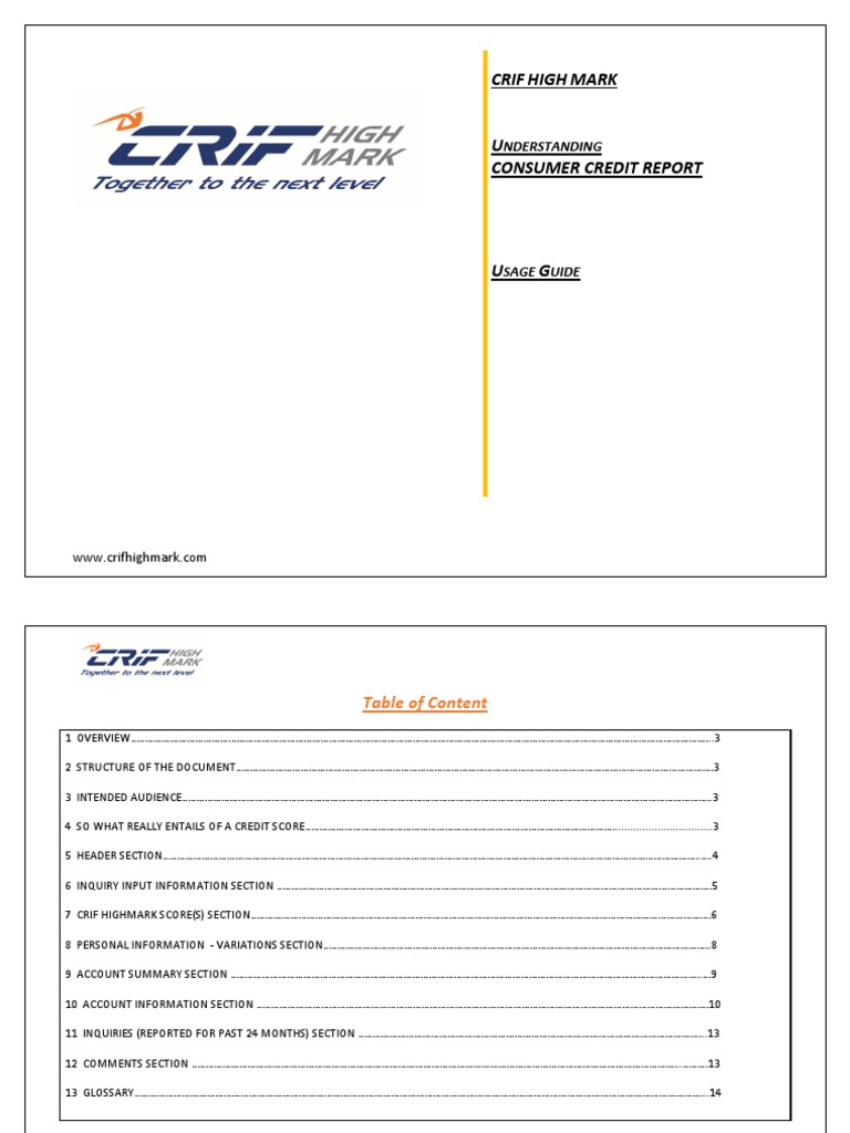 Consumer Credit Report Usage Guide | PDF | Credit Card | Credit History
