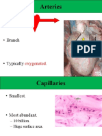 Blood Flow Images