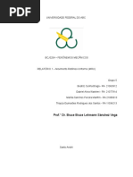 femec relatorio 1