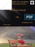 01 Histologie LP 5 by Radu Berca