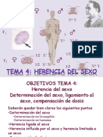 Documents - Genetica - Gen - Tema 4 Herencia Del Sexo201337-197