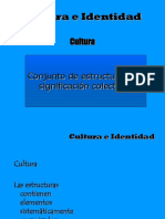 Cultura e Identidad