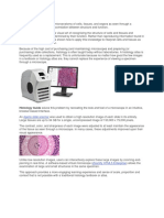 Histology Guide Teaches The Visual Art of Recognizing The Structure of Cells and Tissues and