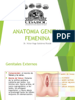 Anatomia Genital Femenina