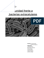 2 Inmunidad Frente a Bacterias Extracelulares 2 Pm
