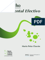Derecho_Ambiental_Efectivo.pdf