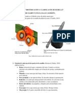 Taller Aa1-Ev2 Identificación y Clasificación de Semillas