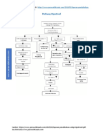 Pathway Hipotirod