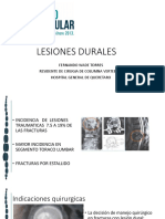 Lesiones Durales