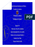 Análogos de Queso.pdf