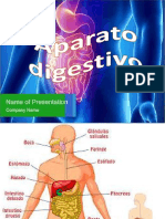 Aparato Digestivo