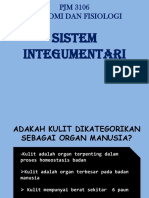 Sistem Integumentari