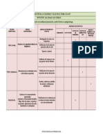 Formato Matriz Jerarquizacion