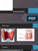 Paratiroides