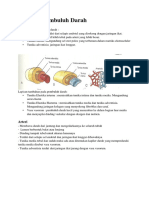 Adenosin