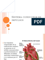 Sistema Conductor de Impulsos Histologia