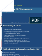 ERP Audit Chapter 1