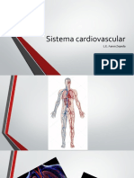 Examen Cardiovascular