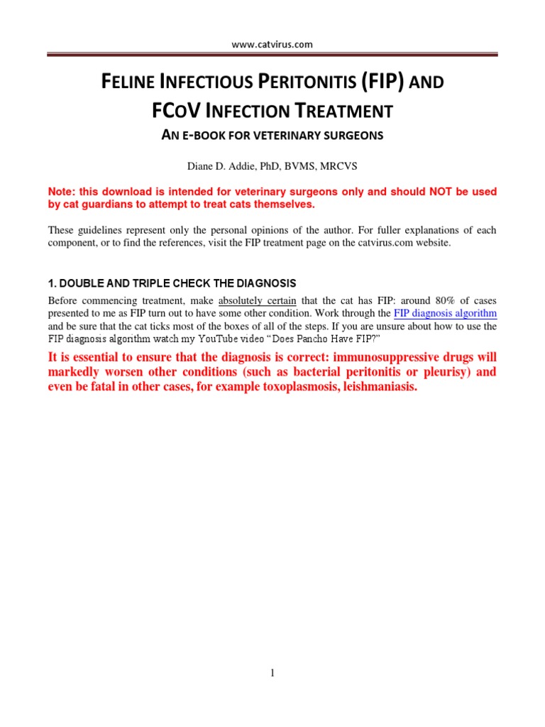 FIP Cat Treatment | PDF | Interferon | Dose (Biochemistry)