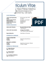 Larry Ned Pérez Merino.docx