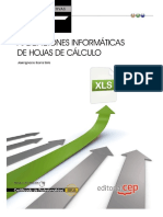 Manual Aplicaciones Informáticas de Hojas de Cálculo PDF
