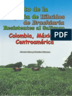 Impacto Adopcion Hibridos Brachiaria Resistentes Salivazo Colombia Mexico Centroamerica PDF