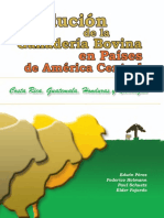 Evolucion Ganaderia Bovina Paises America Central PDF