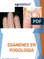 Exam Aux en Podologia