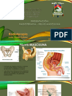 Radioterapia en Pelvis Masculina