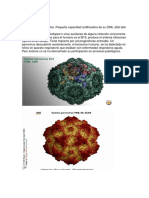 Parvovirus, Adenovirus Virus Herpes y Vhs