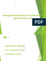 Manual Navegacion - Overview SAP AIL