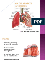 9.- Anatomia y Fisiologia Respiratoria