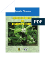 Boletin limon.pdf