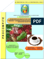 PDN Aeo Sarahuasi PDF