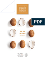 Potencial de Palma de Coco