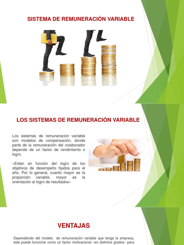 Remuneracion Variable | Descargar gratis PDF | Salario | Business