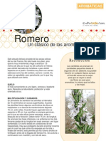 Aromaticas 05 Romero