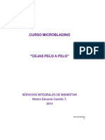 Curso Microblading 2017 PDF