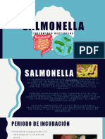 Salmonela Presentacion